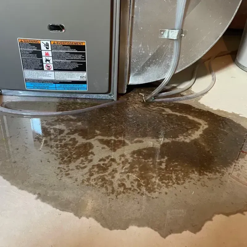 Appliance Leak Cleanup in Three Rivers, MA